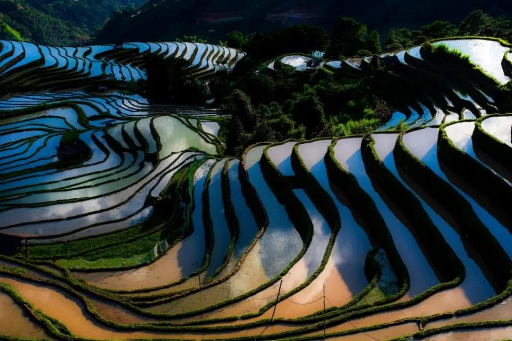 Zdjęcie z wyprawy Cesarskie Chiny i Rzeka Jangcy